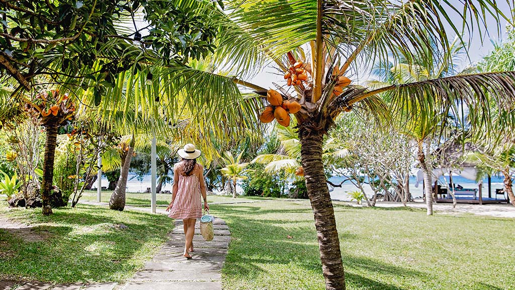 13 turtle bay lodge espiritu santo vanuatu garden