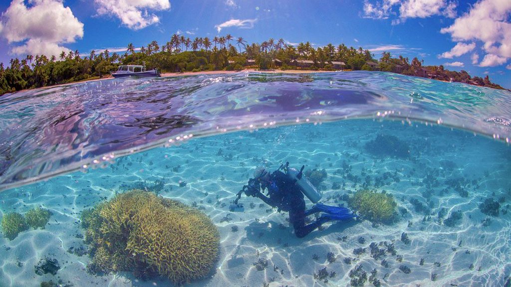15 tonga haʻapai matafonua lodge diver over under shot