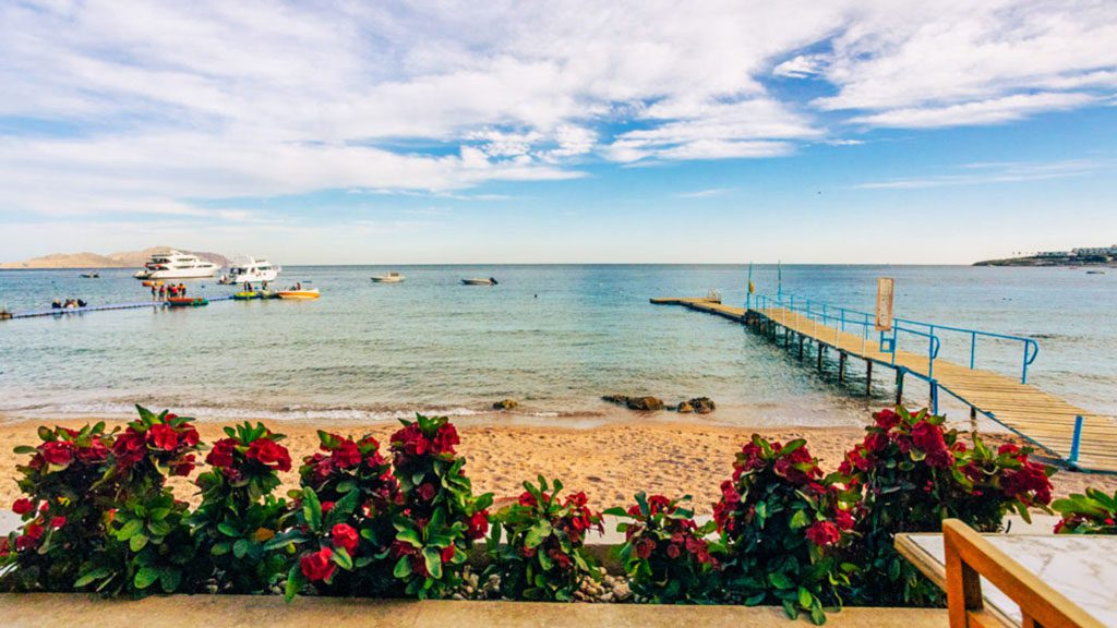 8 sharks bay resort umbi sharm el sheikh red sea egypt jetty 3