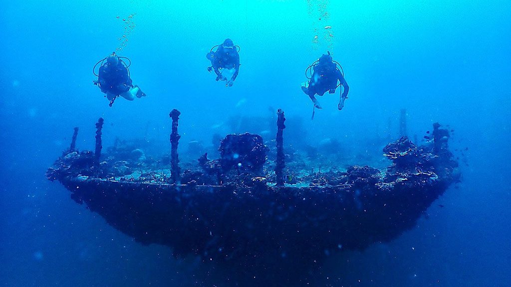Dive vava u tonga axfactor dive clan mcwilliam wreck stern