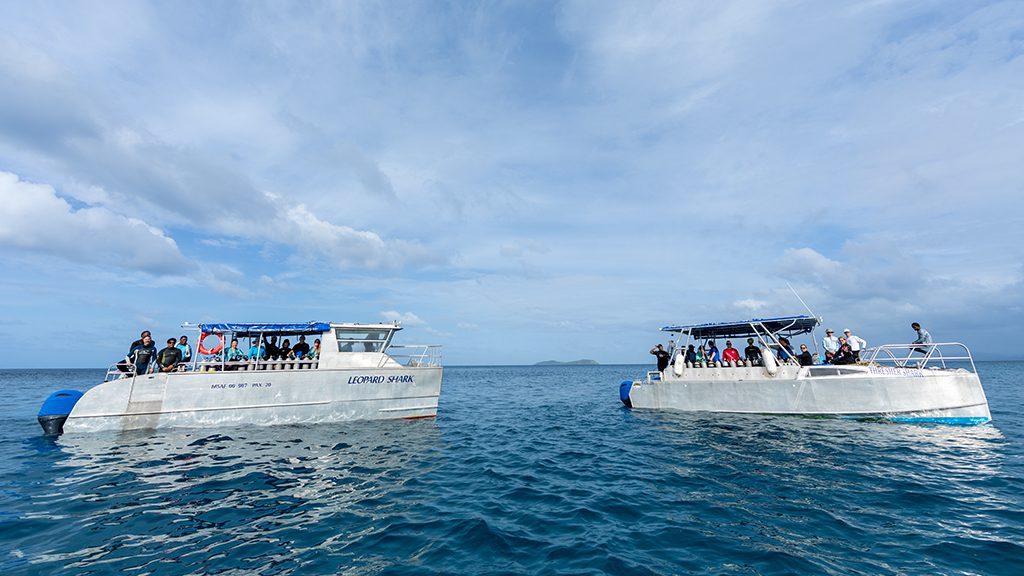 10 beqa lagoon resort beqa lagoon fiji diving boats