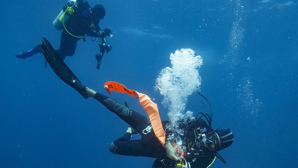 Dan diving in current credit s frink Dan diving in current credit s frink