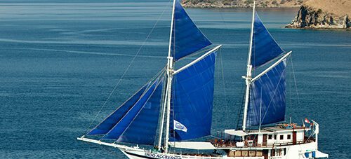 15% off 2026 Aggressor liveaboard adventures!