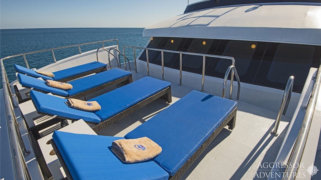 10 maldives aggressor ii liveaboard maldives sundeck
