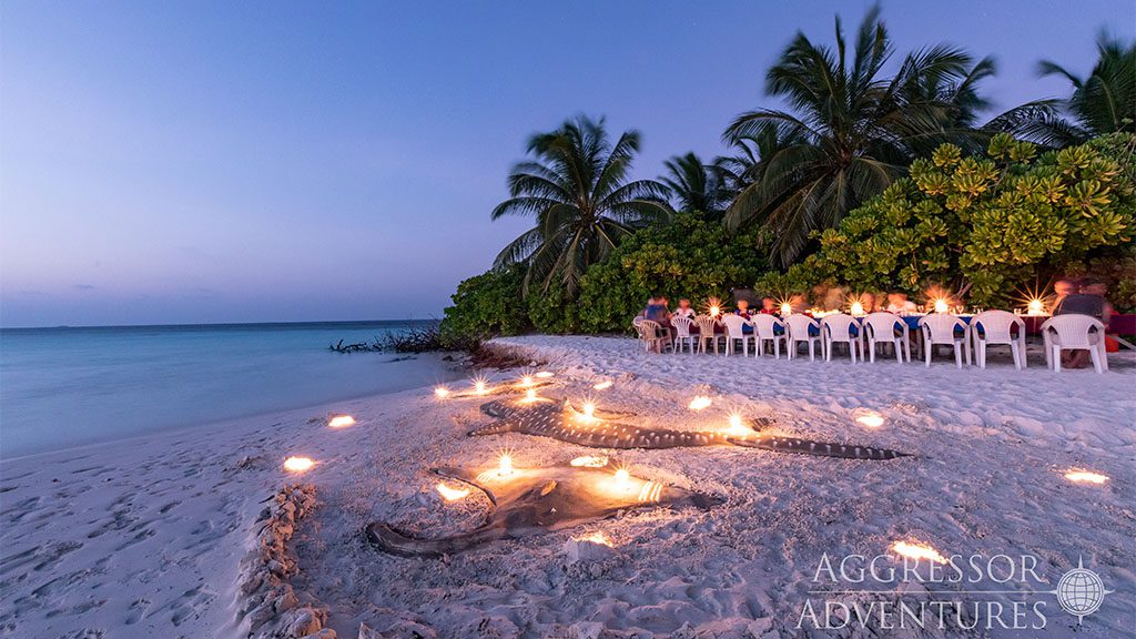 19 maldives aggressor ii liveaboard maldives land tours