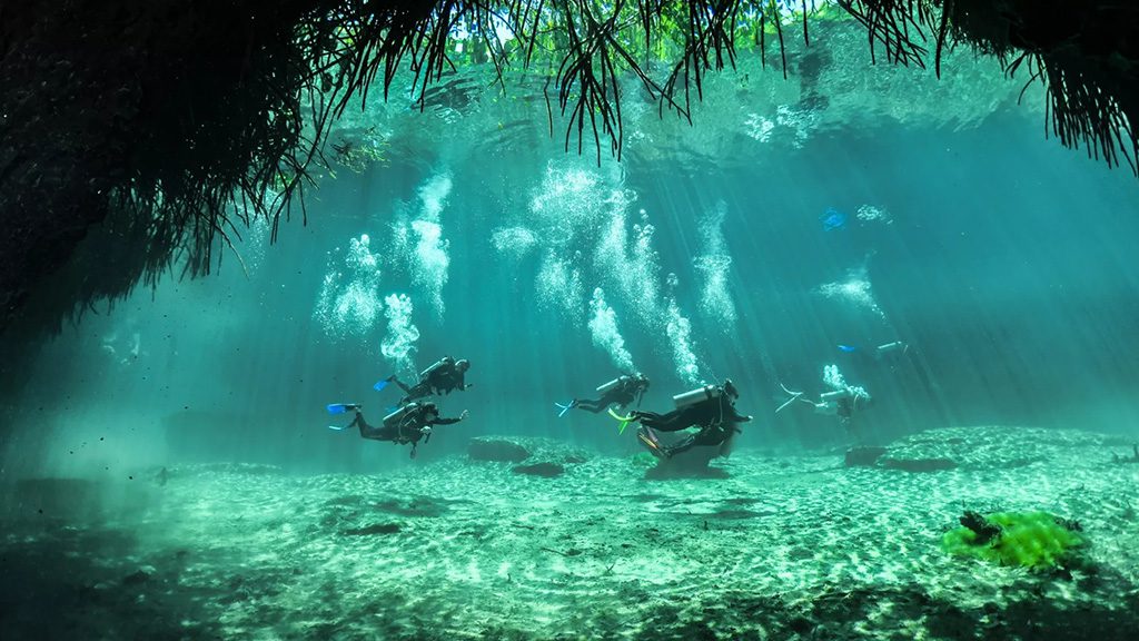 2 infinity2diving tulum mexico discovery dive hero