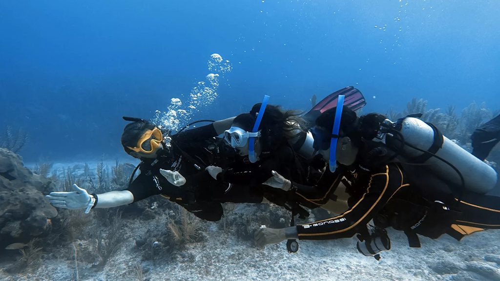 21 infinity2diving tulum mexico cenote and reef dive