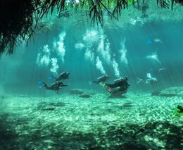 3 infinity2diving tulum mexico discovery dive feature340