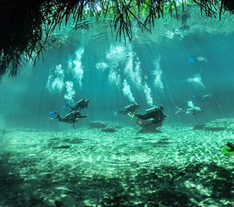 3 infinity2diving tulum mexico discovery dive feature340