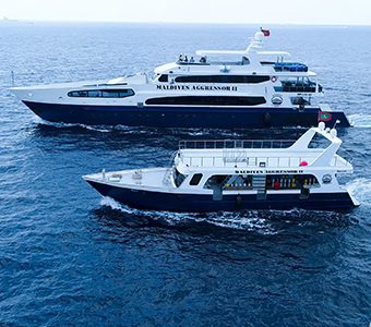 3 maldives aggressor ii liveaboard maldives boat with dhoni feature340