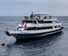 3 thailand aggressor liveaboard indonesia aerial front view with sunset feature340