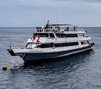 3 thailand aggressor liveaboard indonesia aerial front view with sunset feature340
