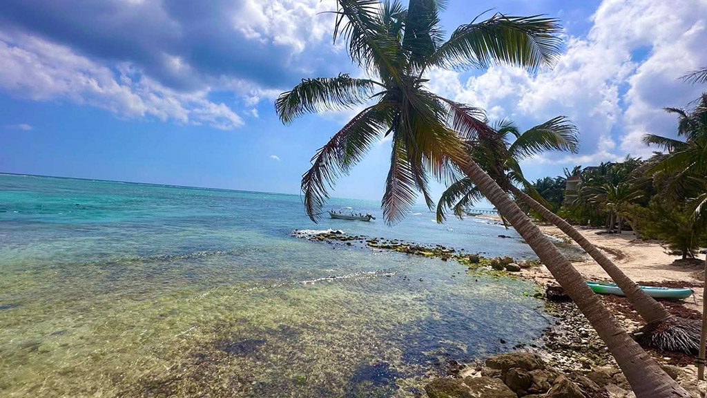 5 infinity2diving tulum mexico beach view