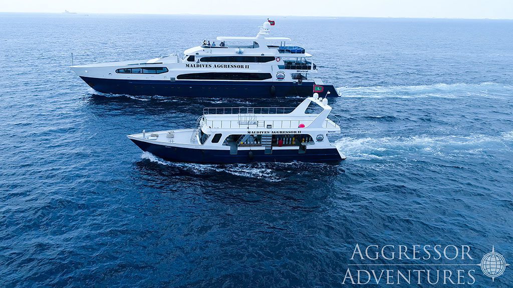 5 maldives aggressor ii liveaboard maldives boat with dhoni