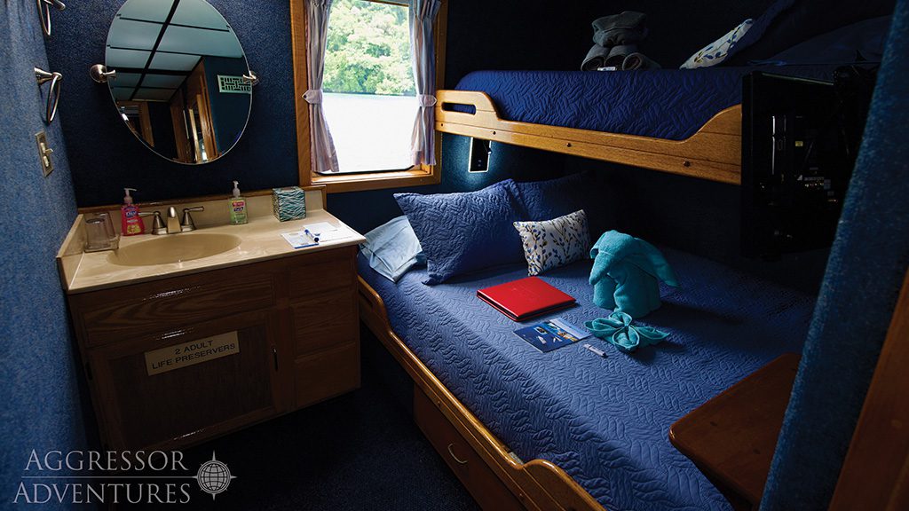 5 palau aggressor ii liveaboard palau deluxe stateroom 5 palau aggressor ii liveaboard palau deluxe stateroom