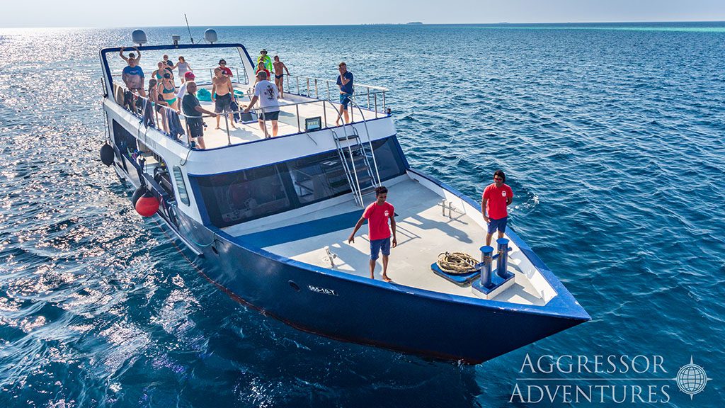 6 maldives aggressor ii liveaboard maldives dhoni
