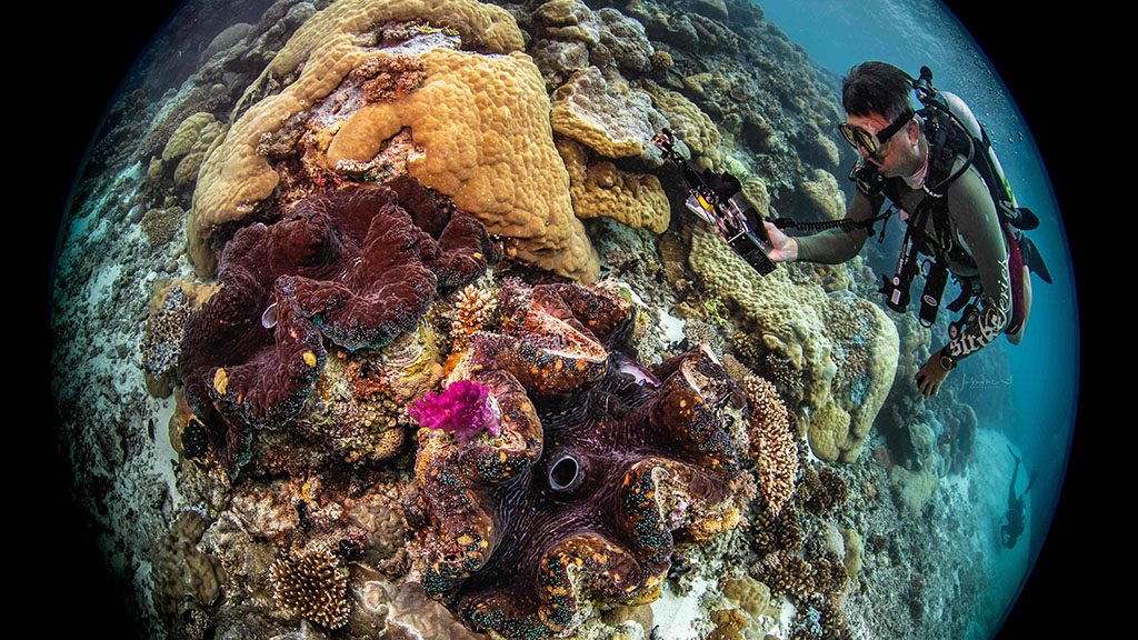32 solitude gaia liveaboard palau ulong channel