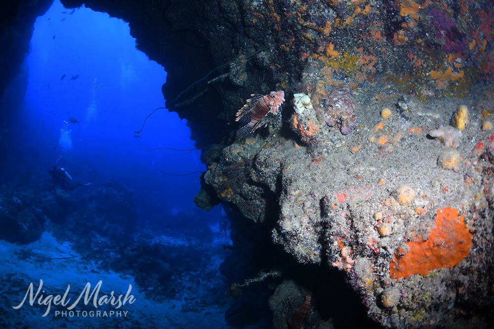 Lord howe observatory cave Lord howe observatory cave