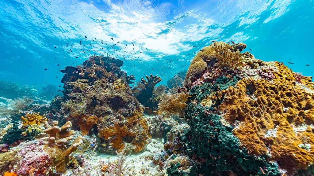 35 kusu island resort halmera indonesia seascape