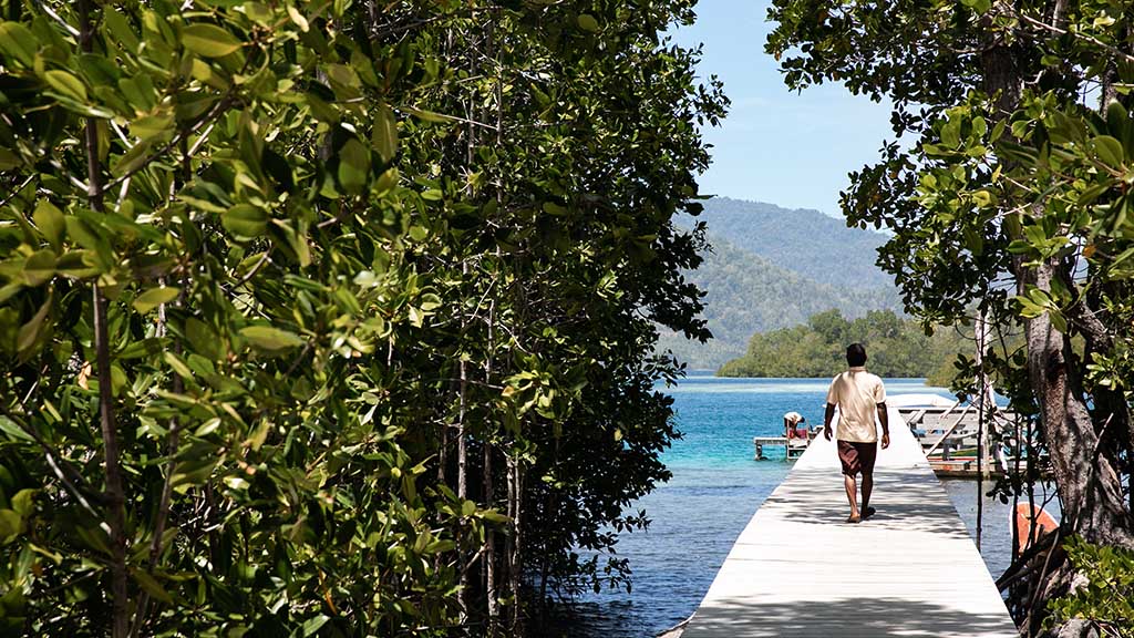 8 kusu island resort halmera indonesia jetty