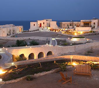 Oasis resort feature 340