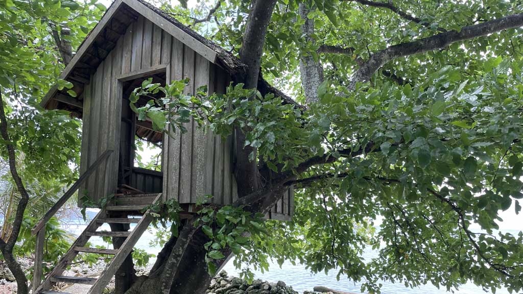13 imagination island resort gizo solomon island wooden treehouse