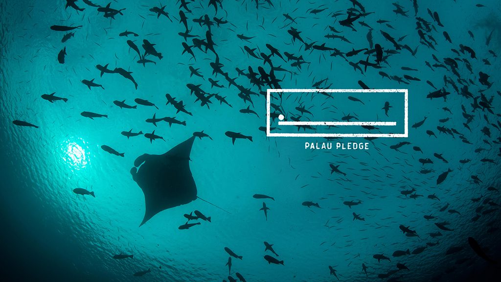 Palau pledge stamp manta Palau pledge stamp manta